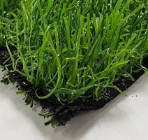 EcoGreen
